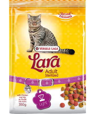 Lara Adult Sterilized