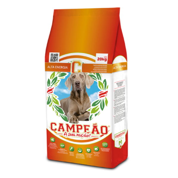 Perro adulto campeón de alta energía