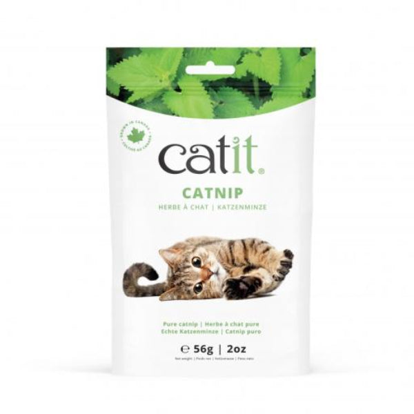Erva Gatos Catnip 56gr