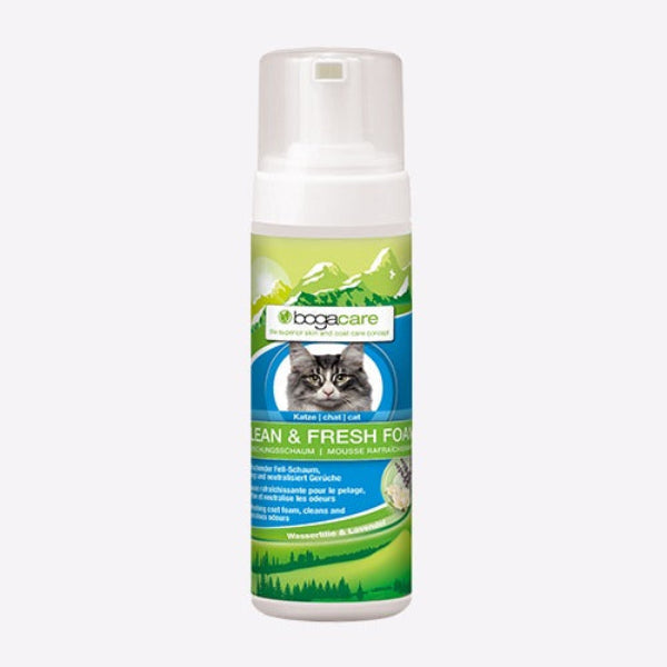 Bogar Bogacare Shampoo Seco para Gato