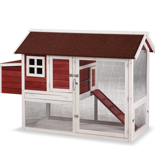 Galinheiro Modelo Budapeste