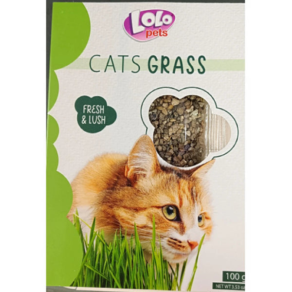 Erva para Gatos Lolopets