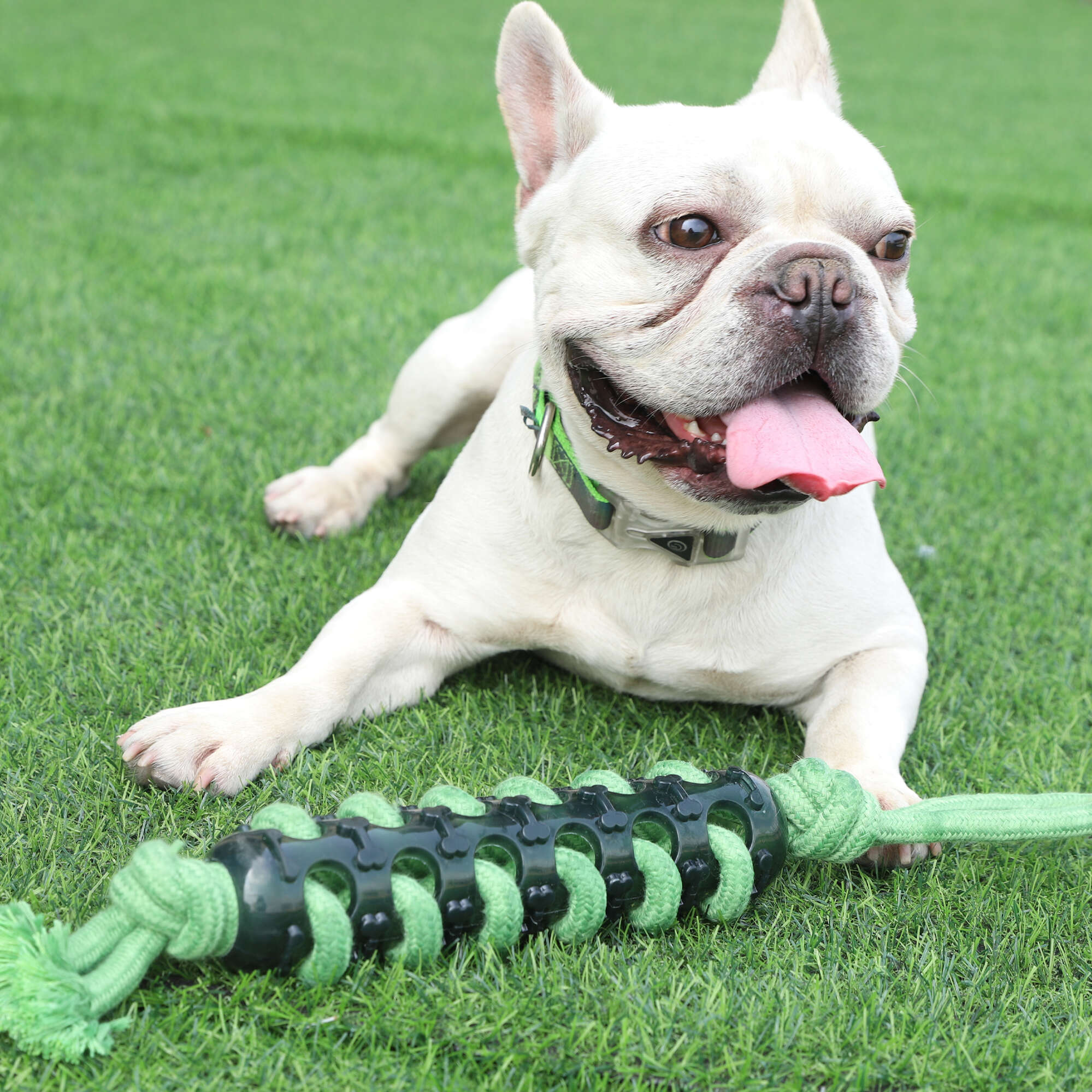 Brinquedo XT-Dog ECO Trenzado 46cm