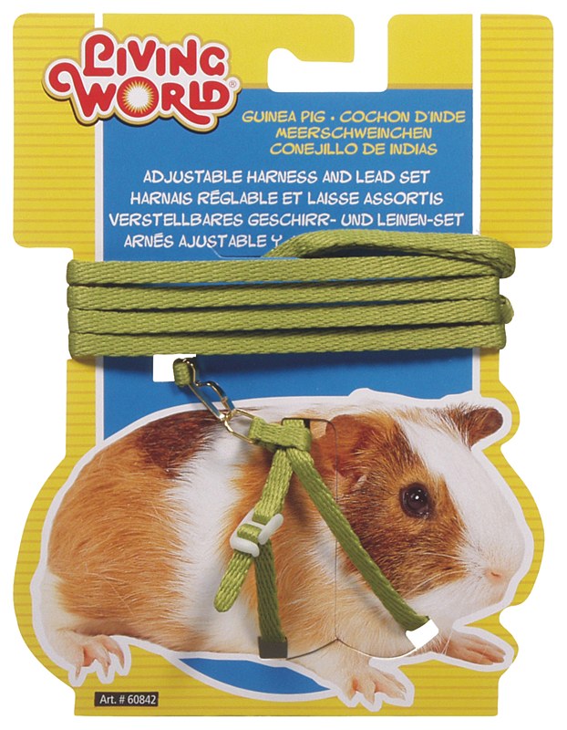 Arnés + Correa verde para cobayas