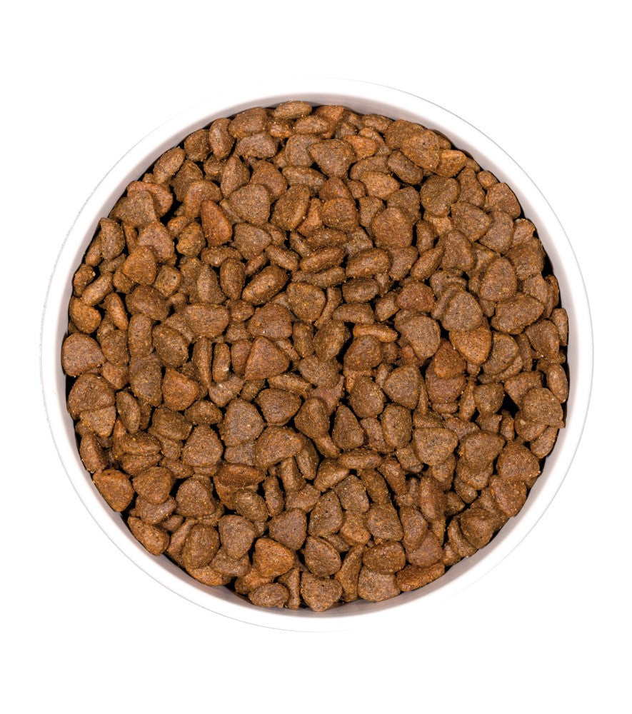 Gatito Ownat Cat sin cereales Prime