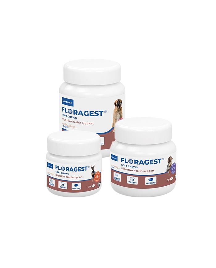 Virbac Floragest Cão