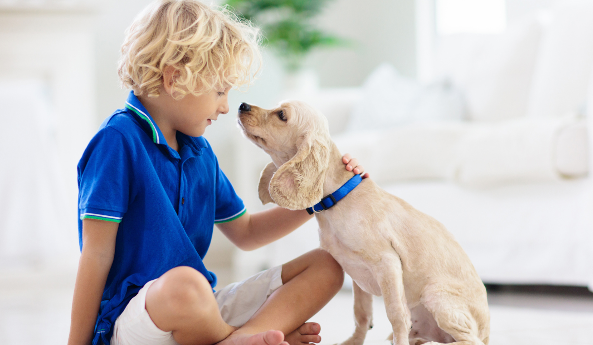 A Importância de uma Criança Crescer com Animais
