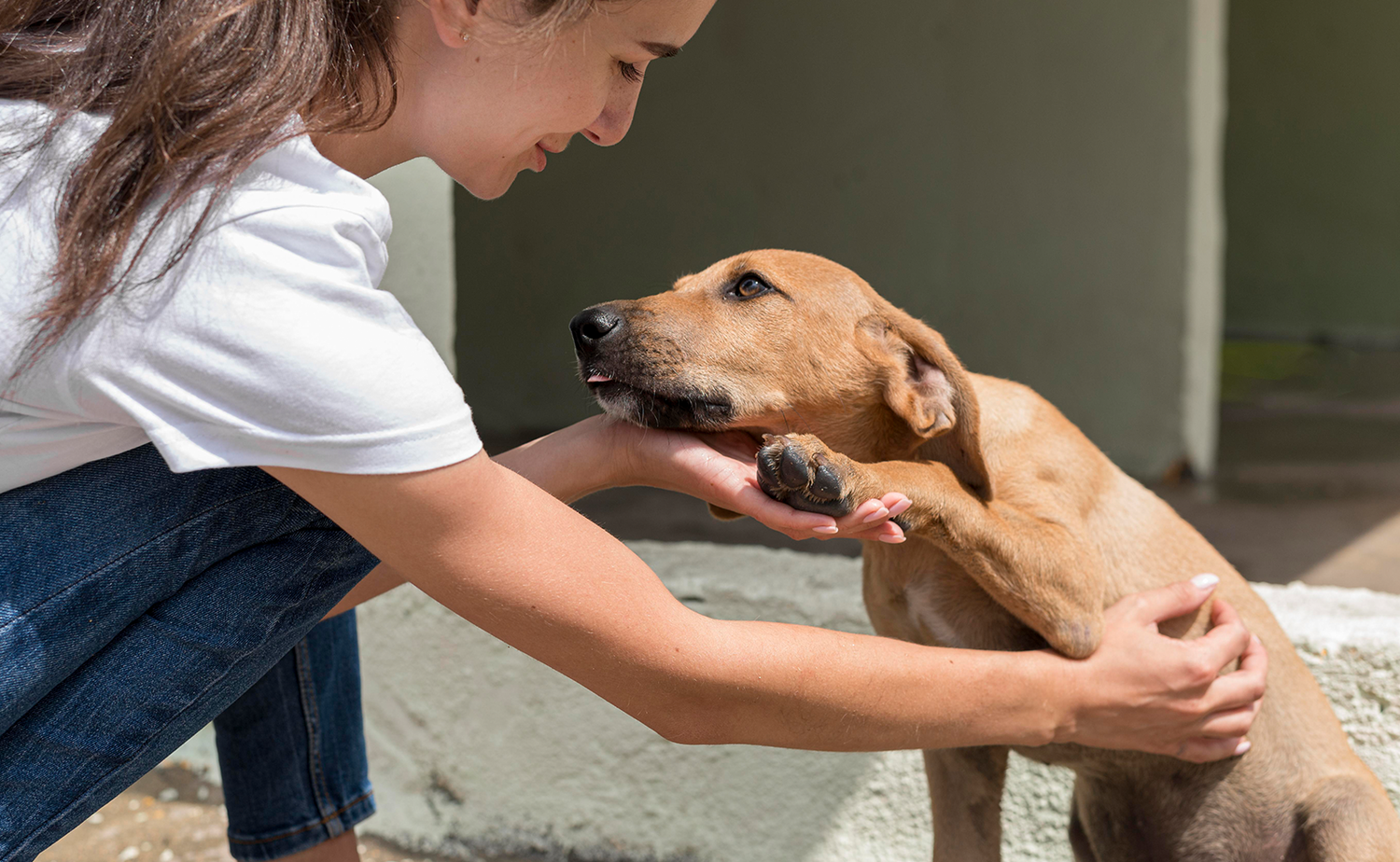 Ansiedade de Separação? Saiba o que fazer!