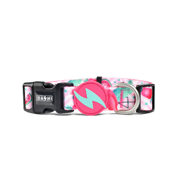Coleira Flamingo Dashi