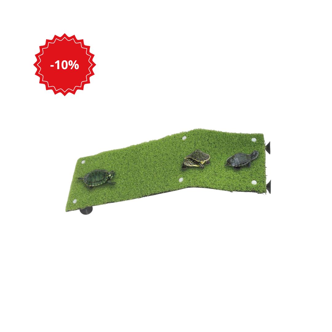 Rampa para Tartarugas