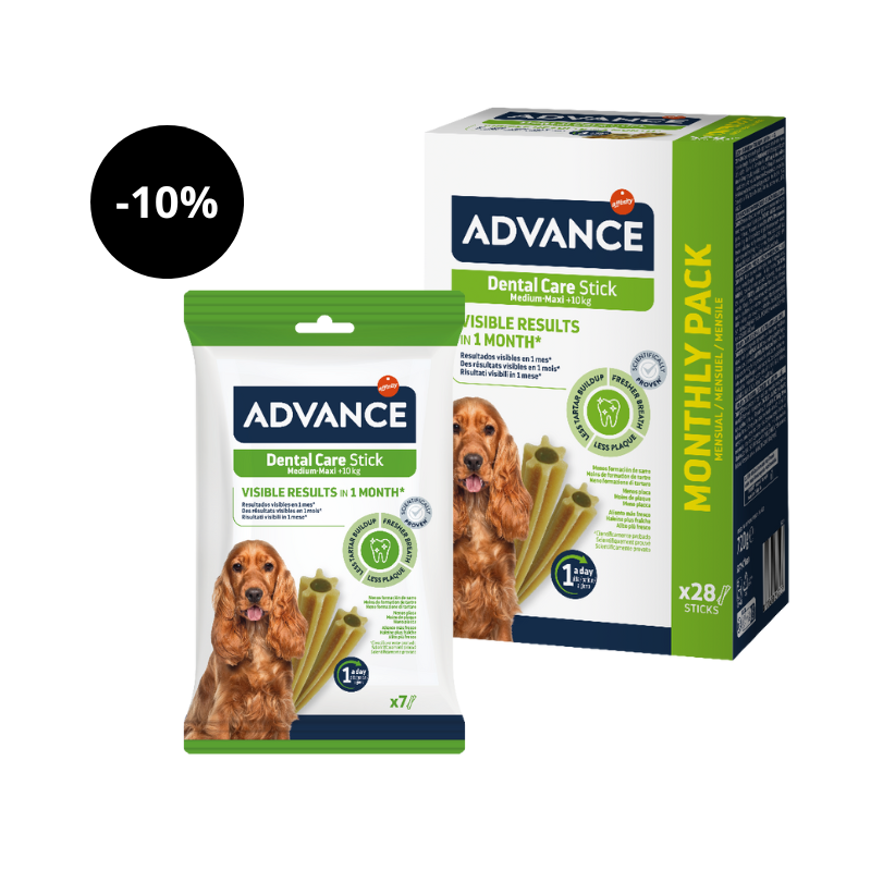 Cuidado dental avanzado para perros Stick