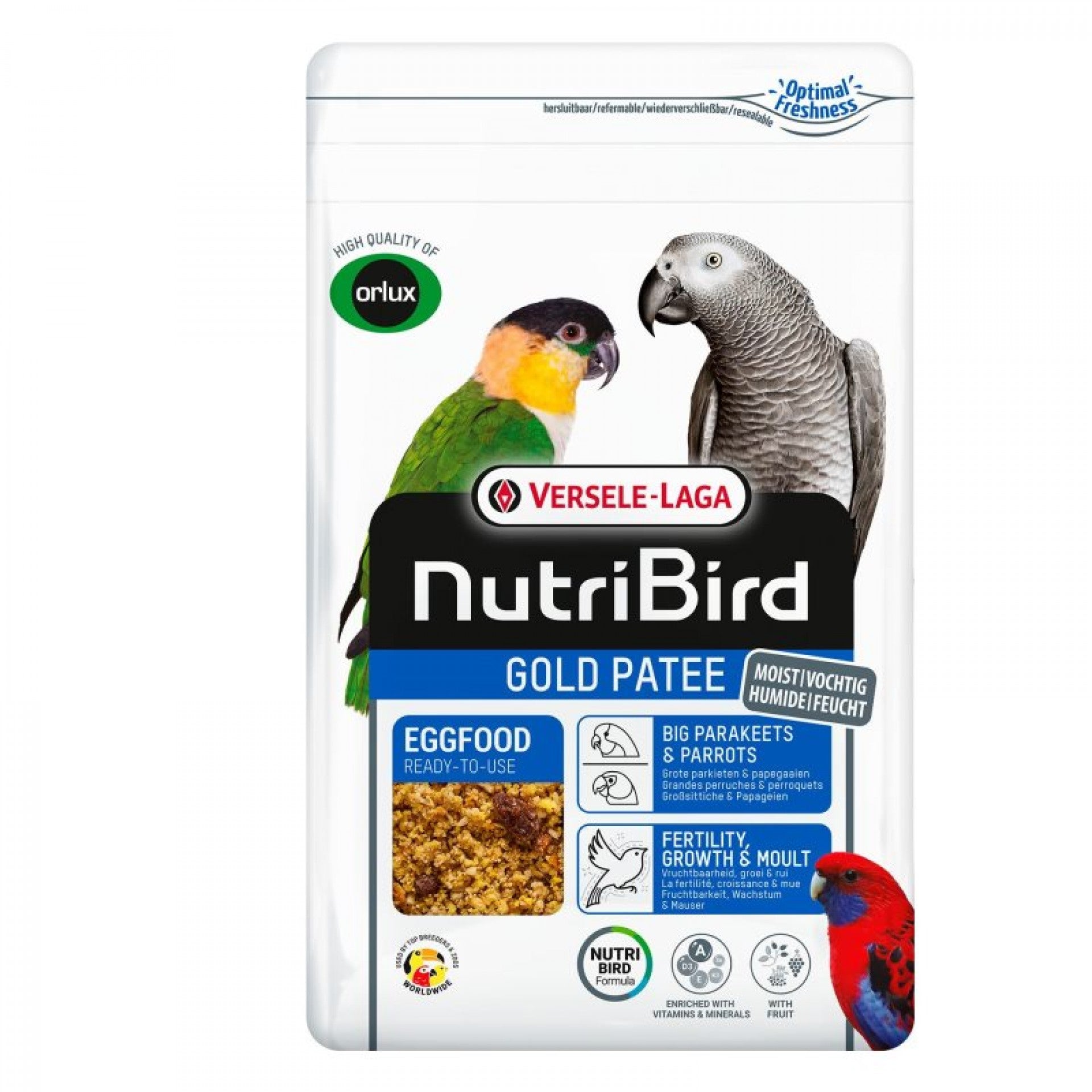 NB Gold Pate Grandes Periquitos e Papagaios 1kg