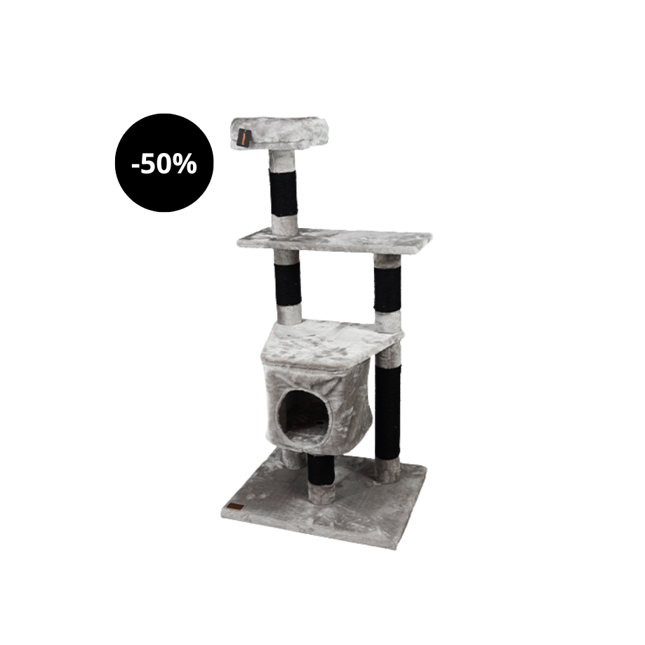 Arranhador Pawppin  Ragdoll