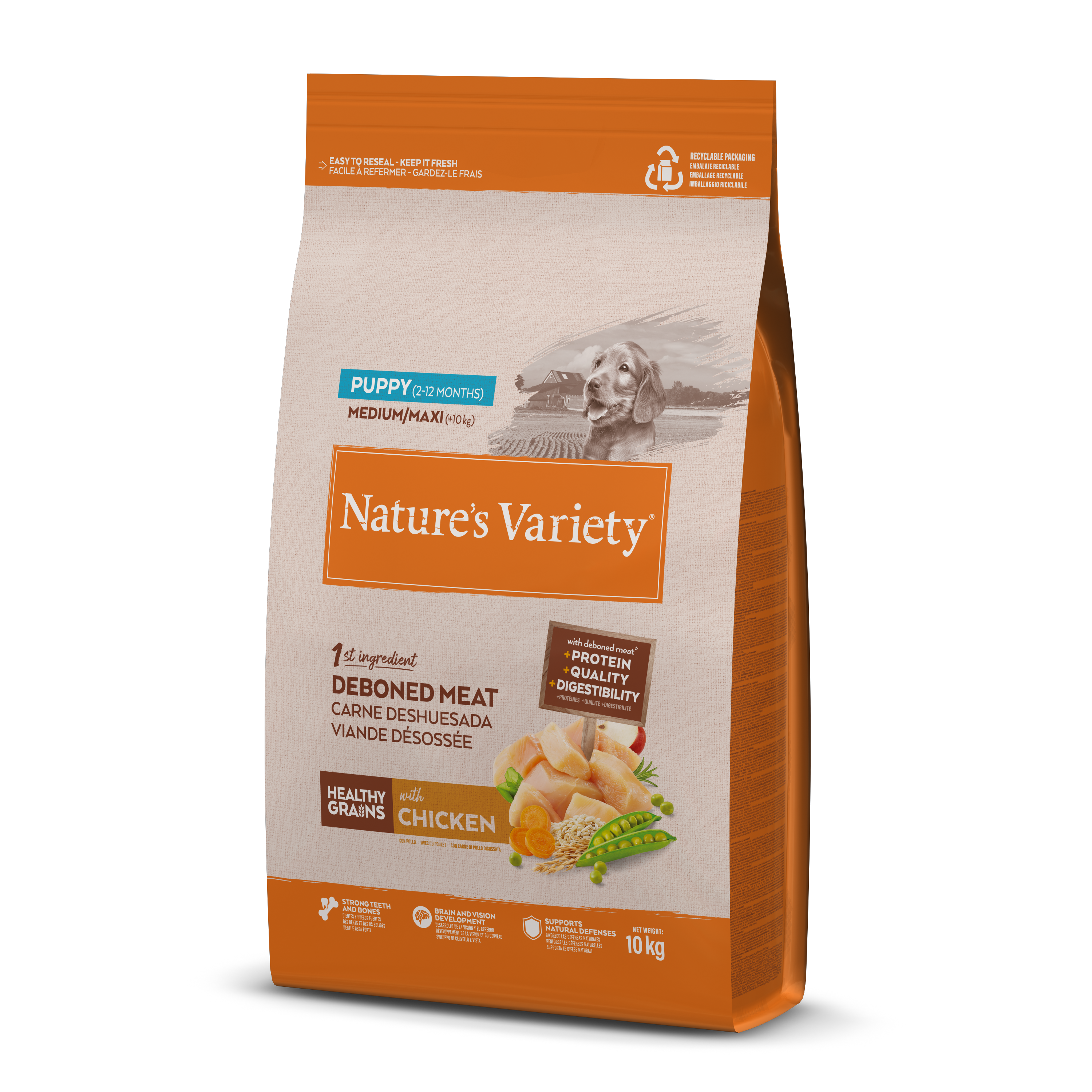 Alimento para cachorros medianos/maxi Nature's Variety Grains Healthy con pollo 