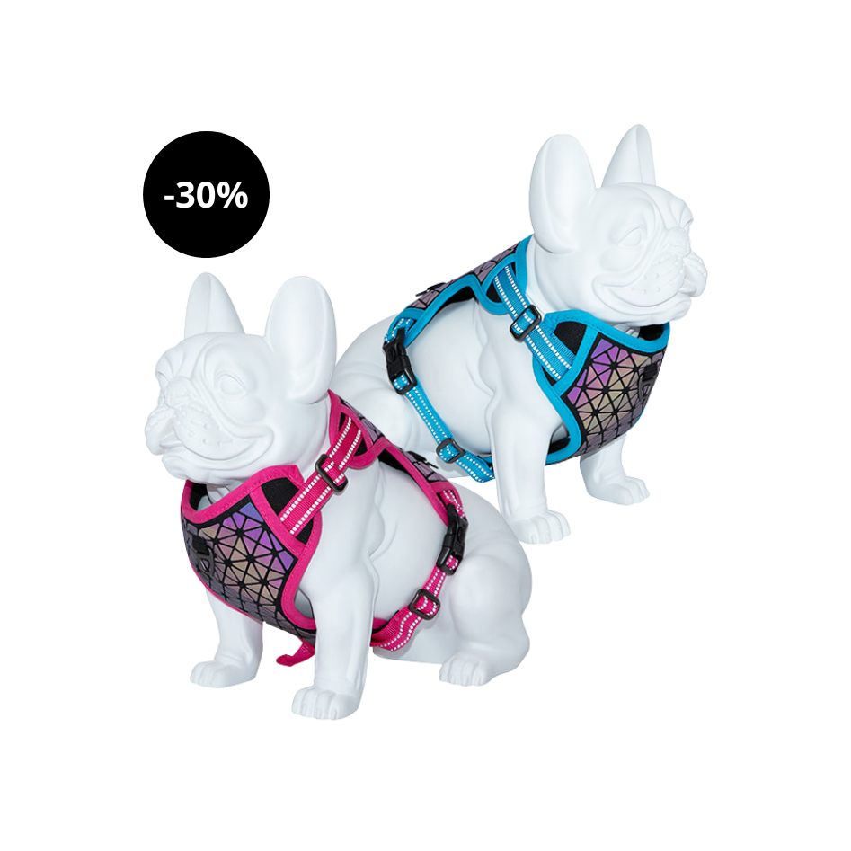 Peitoral Boreal Freedog