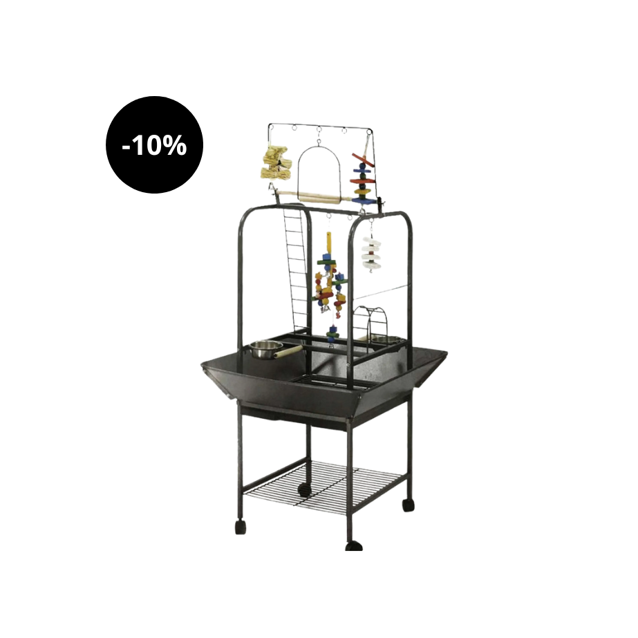 Parque para papagaios