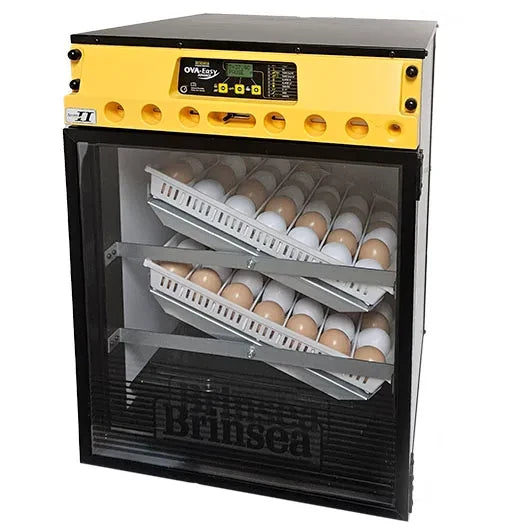 Incubadora digital Ova-Easy 100 Advance II