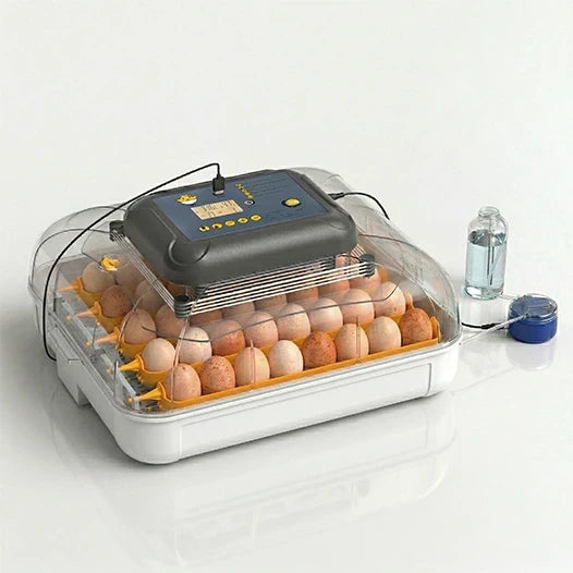 Incubadora Nexa 40 XH Humidade Automática