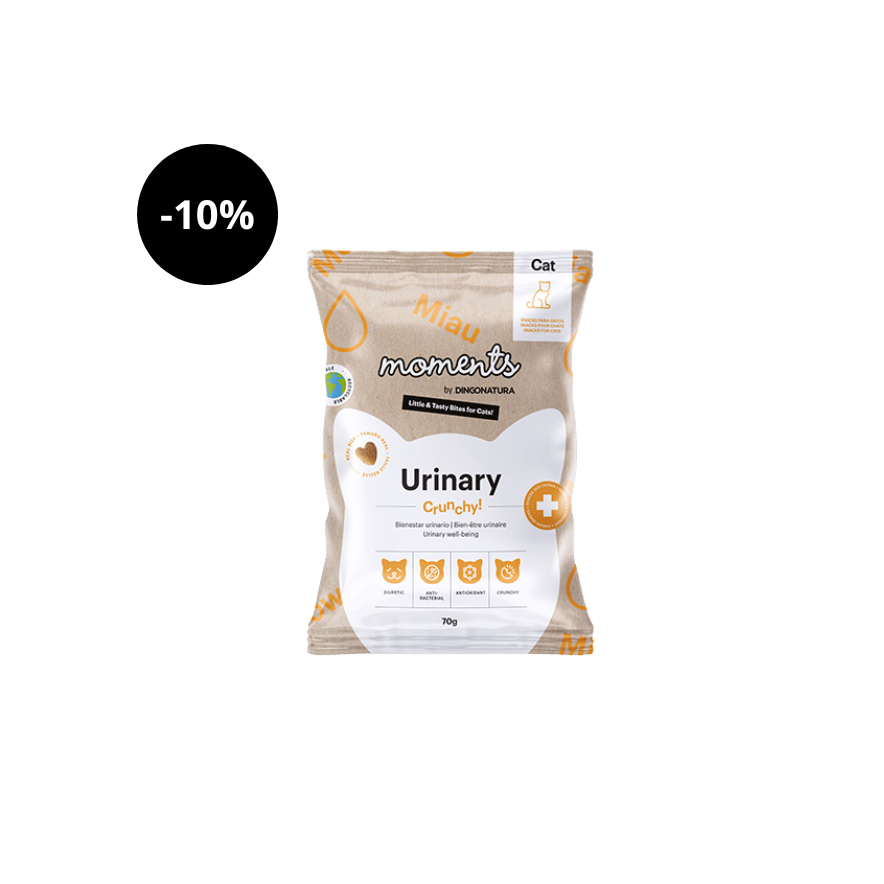 Momentos de snack urinario para gatos