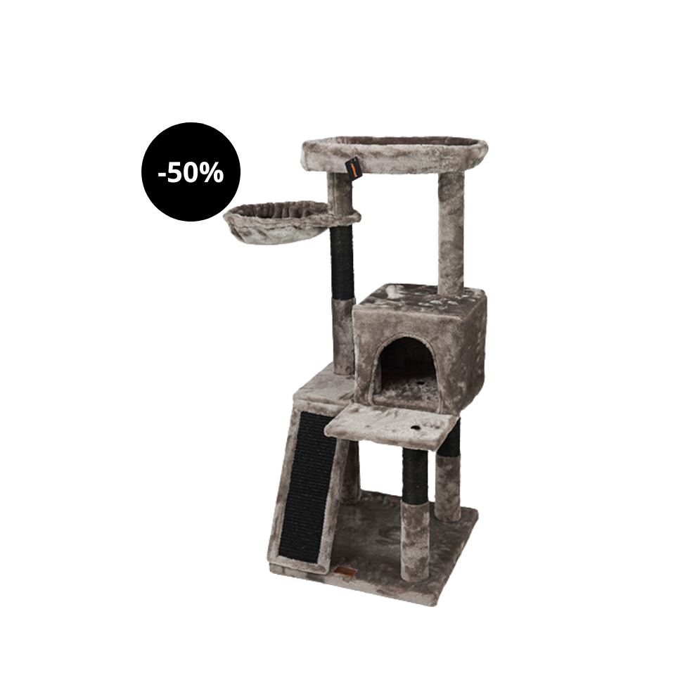 Poste rascador Pawppin British Shorthair