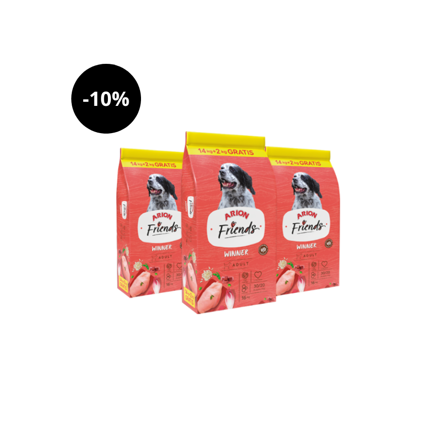 Ganador de Arion Friends 