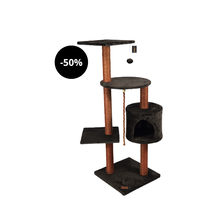 Poste rascador Pawppin para American Shorthair