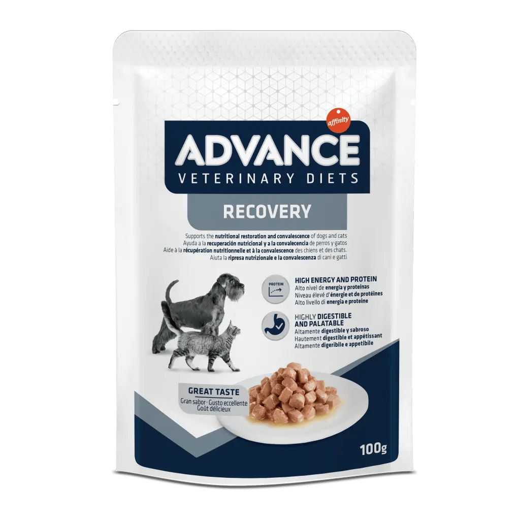 Advance Veterinary Diets Canine and Feline Wet Recovery