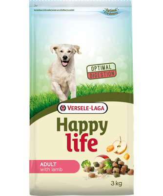 Happy life Adult with Lamb