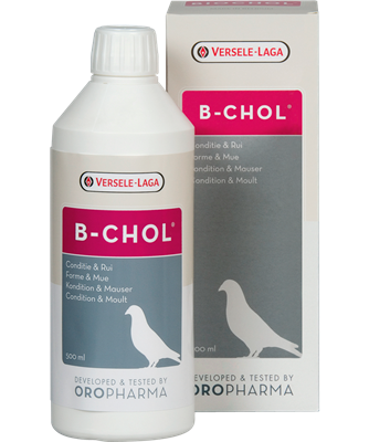 Versele-Laga Oropharma B-Chol
