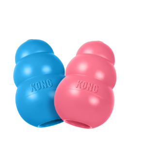 Kong Puppy