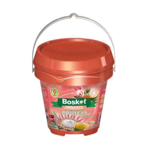 Boskot Proteas