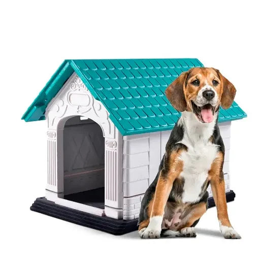 Casota para Cão Cool