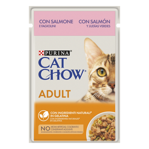 Patê Cat Chow Salmao com Feijão Verdes 85g