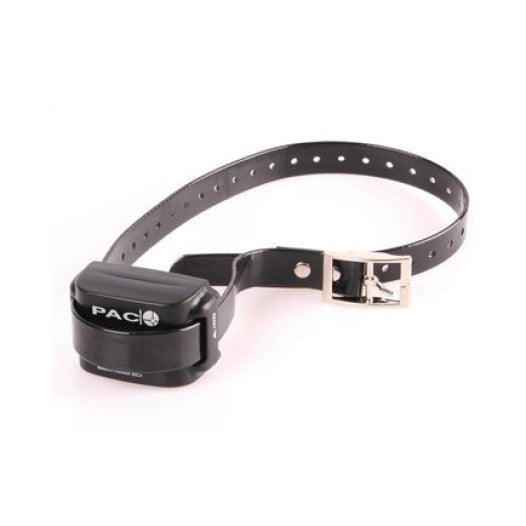 Collar falso PacFence