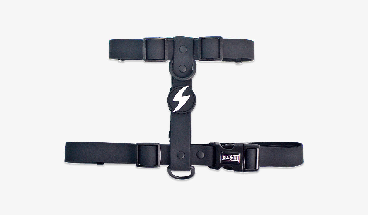 Peitoral Dashi Harness ColorFlex Preta