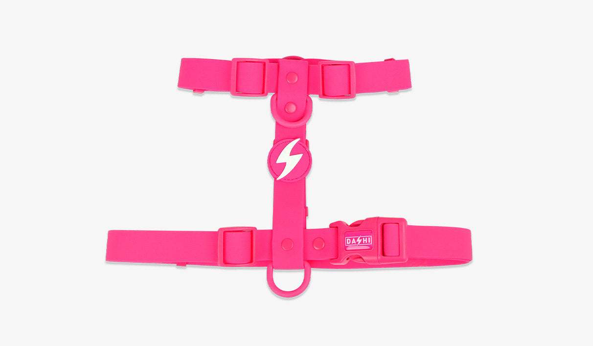 Peitoral Dashi Harness ColorFlex Rosa