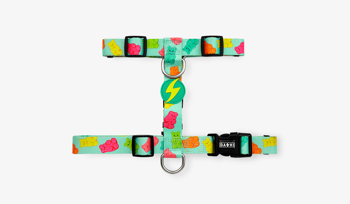 Peitoral Dashi Harness Gummy