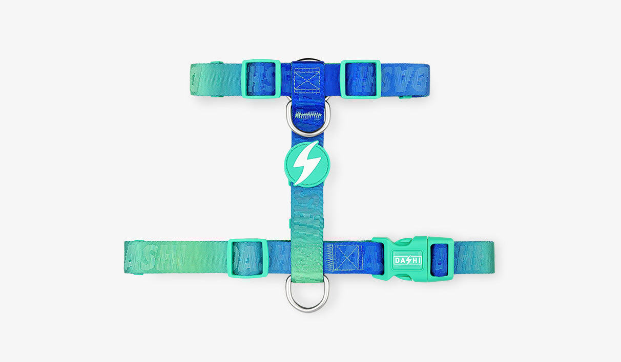 Peitoral Dashi Harness Lumix Haze Borealis