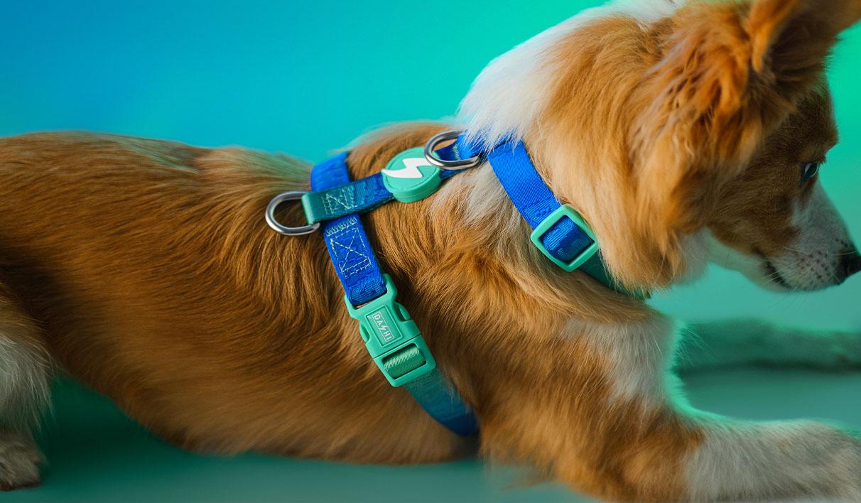 Peitoral Dashi Harness Lumix Haze Borealis