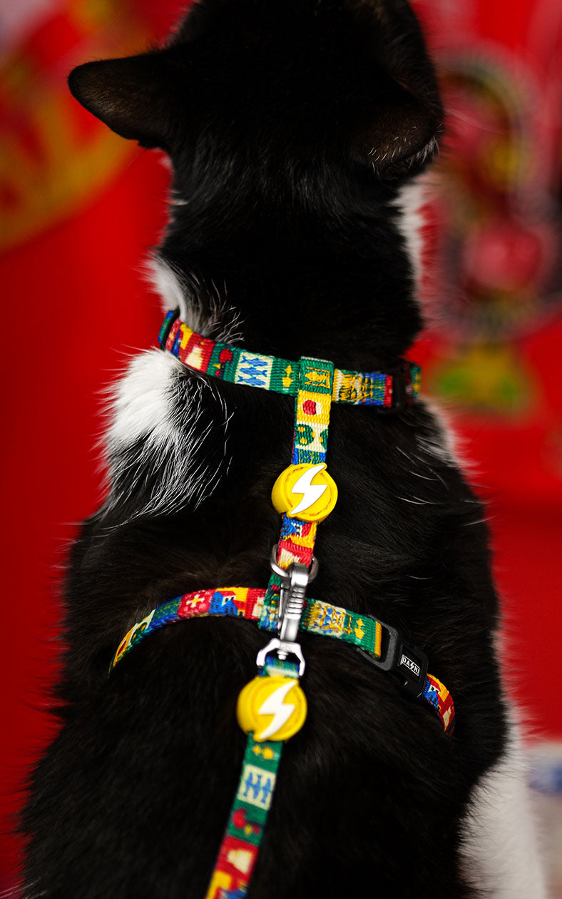 Dashi Cat Arnês + Trela Portucale