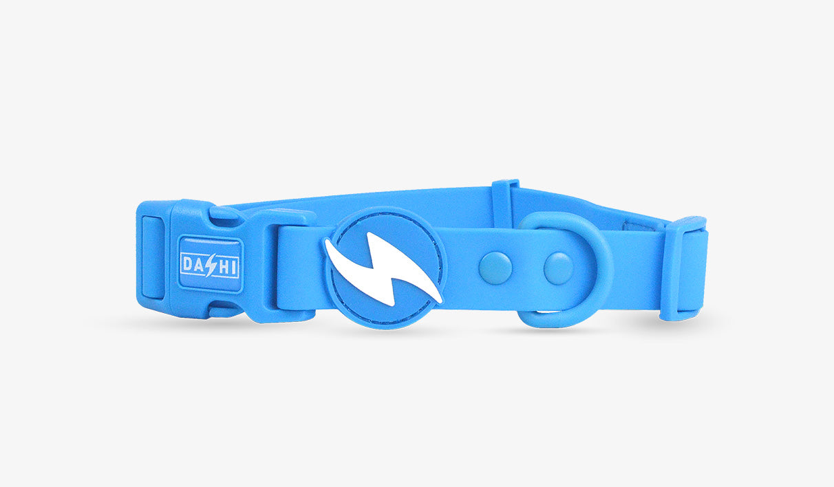 Coleira Dashi Colorflex Azul