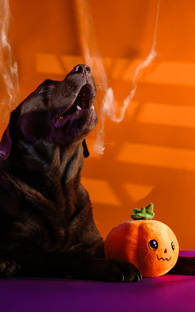 Peluche Dashi The Spookies Jackie