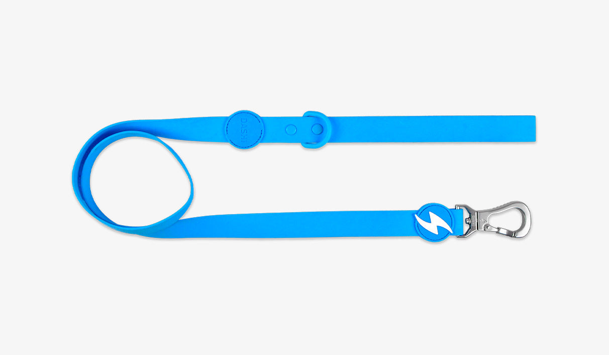 Trela Dashi Colorflex Azul