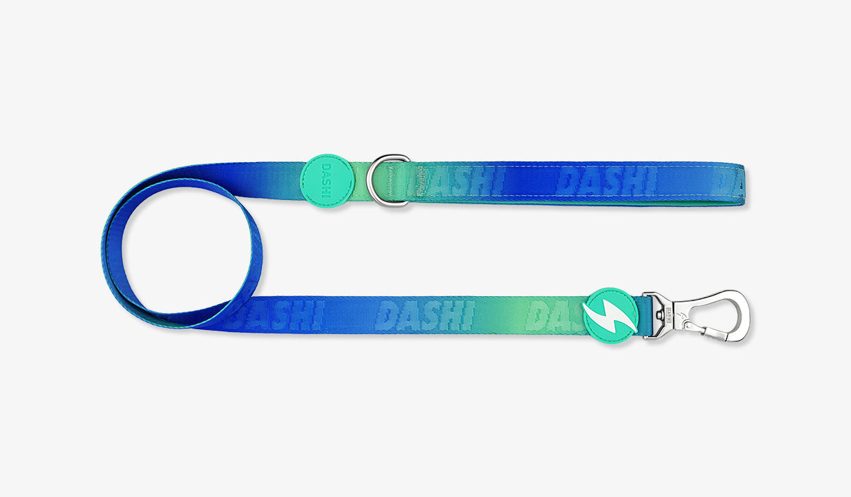 Trela Dashi Harness Lumix Haze Borealis