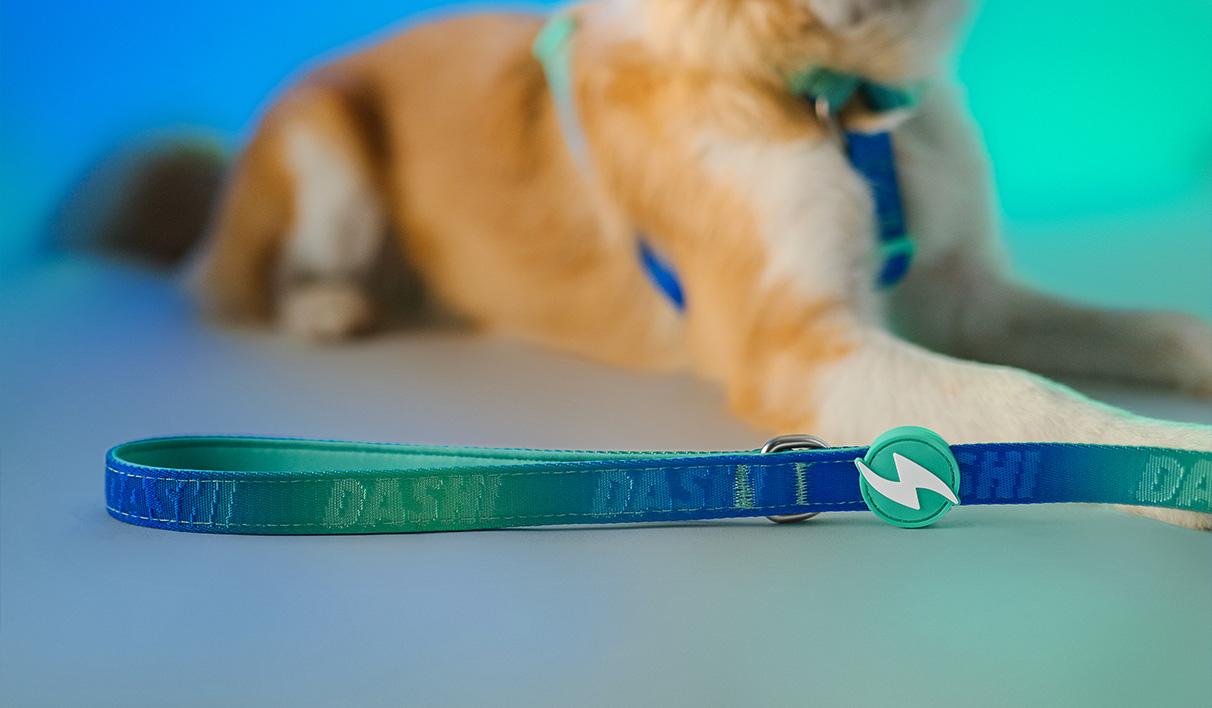 Trela Dashi Harness Lumix Haze Borealis