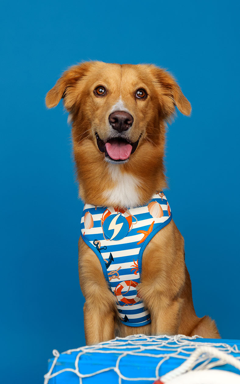 Peitoral Neo Mesh Dashi Salty