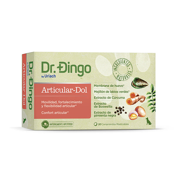 Articular del Dr. Dingo