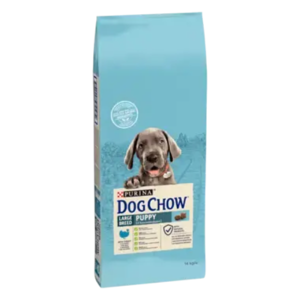 Cachorro Chow Chow de raza grande
