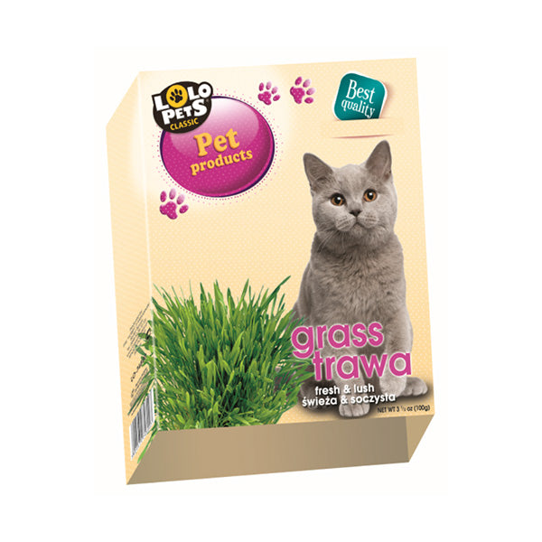 Erva para Gatos