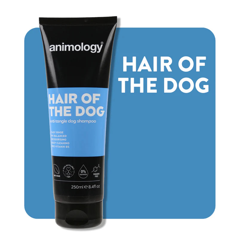 Shampoo Animology Desembaraçante Hair of the Dog 250ml